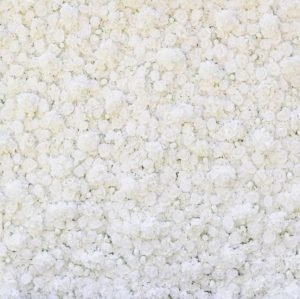 Flower wall Photo Booth backdrop